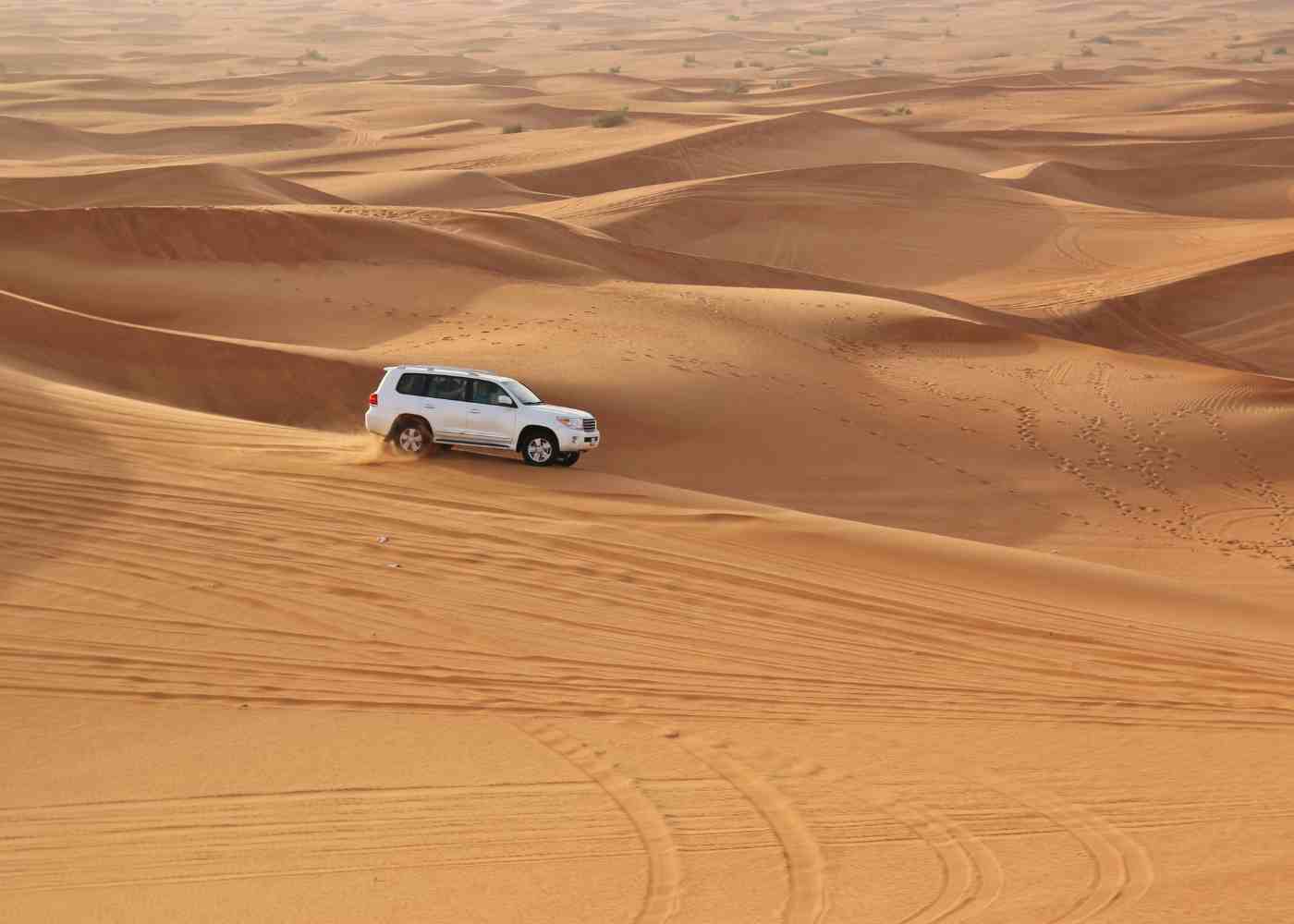 Desert Safari and Dhow Cruise are the Most Favorite Tourist Activities in Dubai